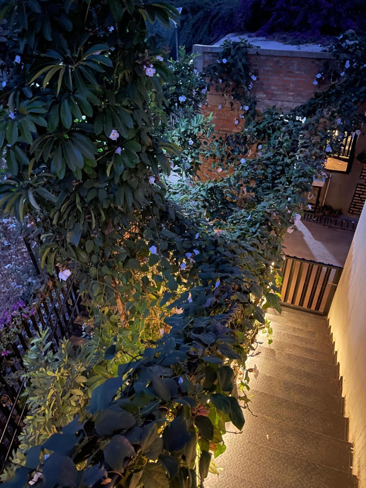 Eagle View Lodge - 基加利 外观 照片